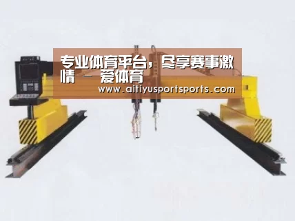 产品名称十八
