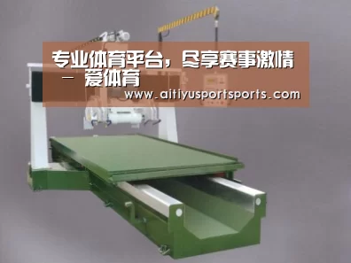 产品名称十