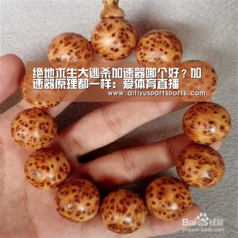 爱体育官网