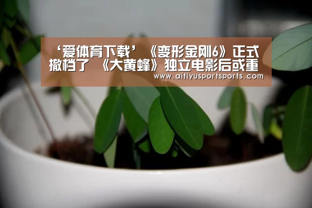 ‘爱体育下载’《变形金刚6》正式撤档了 《大黄蜂》独立电影后或重启该系列(图1) 爱体育