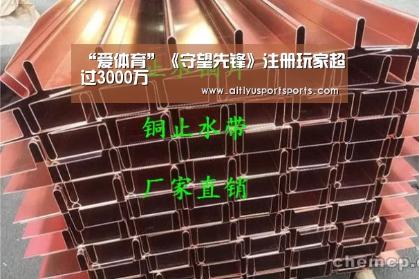 “爱体育”《守望先锋》注册玩家超过3000万(图3) 爱体育官网
