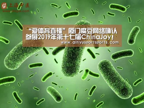 “爱体育直播”厦门魔豆网络确认参展2019年第十七届ChinaJoy!(图3) 爱体育直播