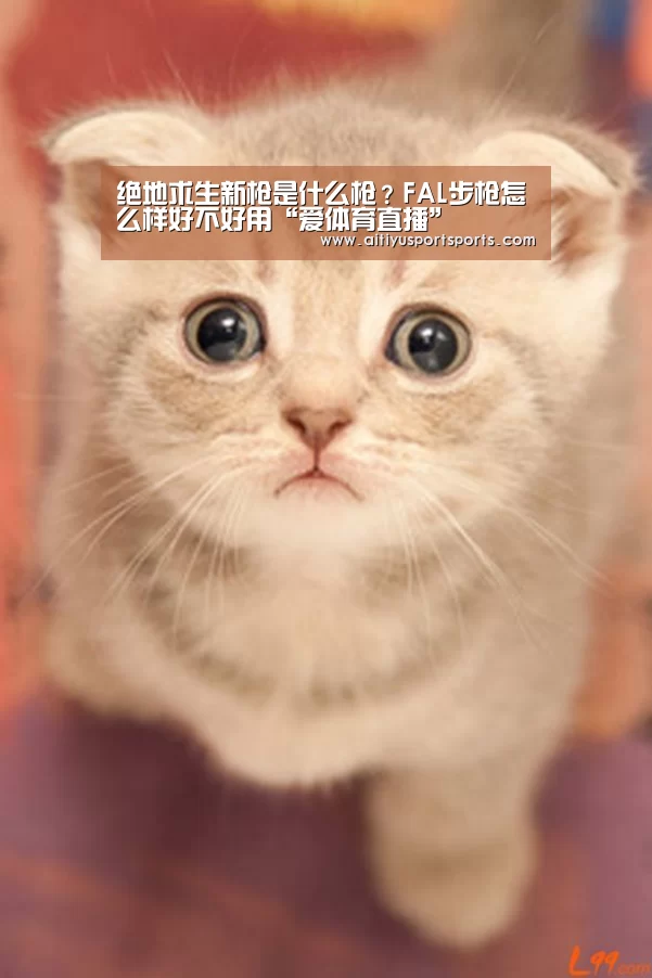 绝地求生新枪是什么枪?FAL步枪怎么样好不好用“爱体育直播”(图3) 爱体育